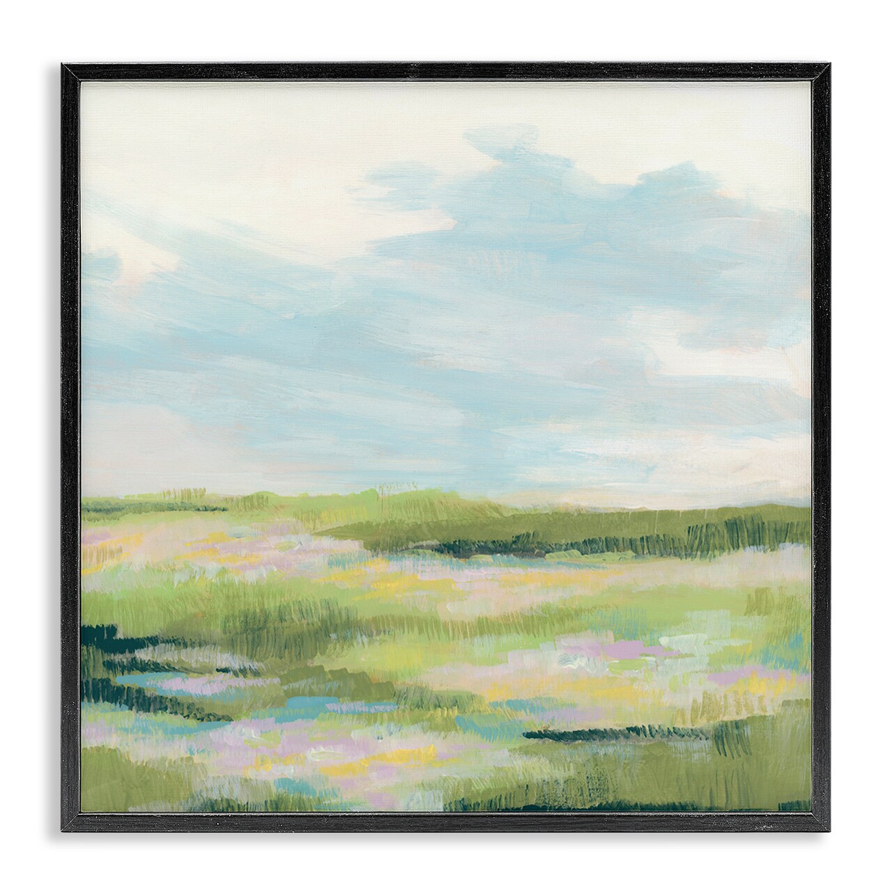 Stupell Industries Brushed Meadow & Sky Framed Giclee Wall Art Design by June Erica Vess